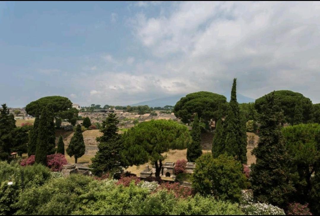 פומפיי B&B Vesuvio Ruins מראה חיצוני תמונה